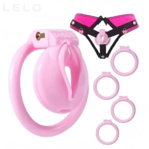 Lock Chastity Panties with Pink Cage in Pakistan (1)